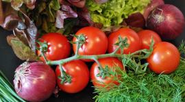 tomatoes_salad